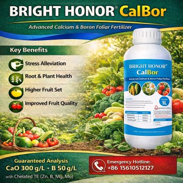 CalBor Calcium Boron Foliar Fertilizer for Fruit Quality | Bright Honor